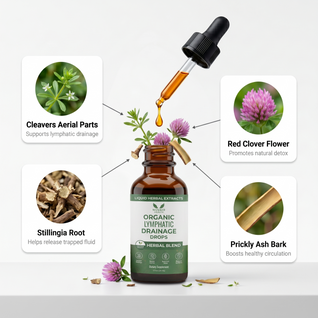 Lymphatic Drainage Drops